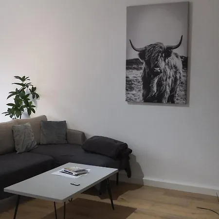 Im Herzen Von Apartment Hauenstein