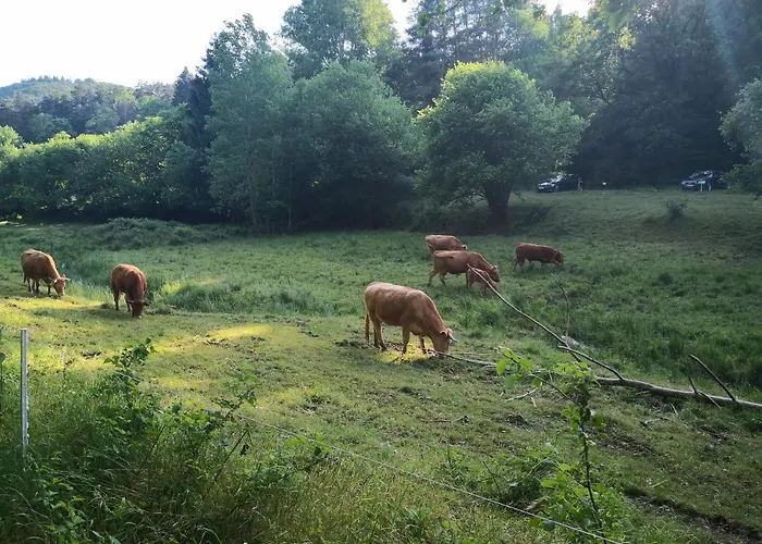 Apartament Im Herzen Von Hauenstein